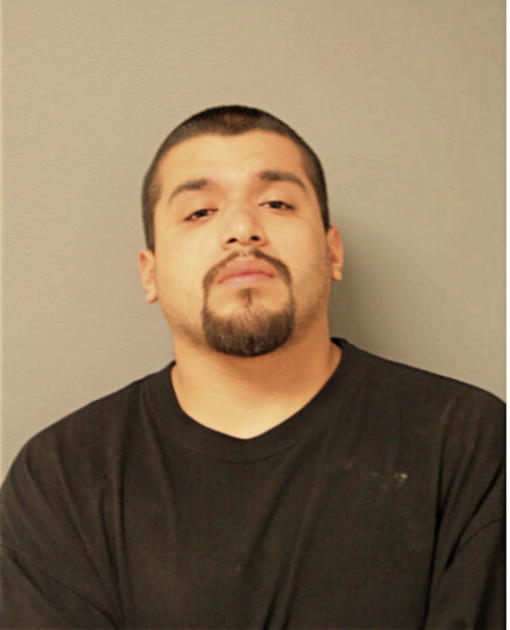 ANDY J OJEDA, Cook County, Illinois