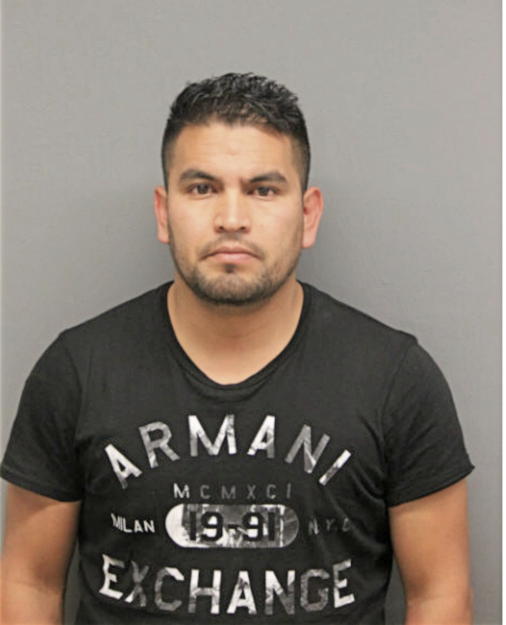 FRANCISCO H ORTIZ, Cook County, Illinois