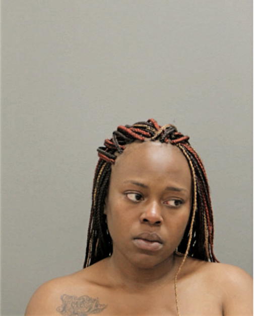FINESSE PAYNE, Cook County, Illinois