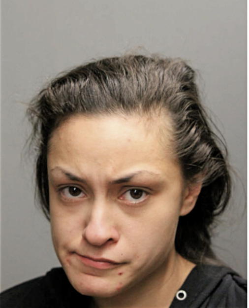 NICOLE M POSADOWSKA, Cook County, Illinois