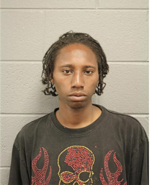 DERRICK D ROSS, Cook County, Illinois