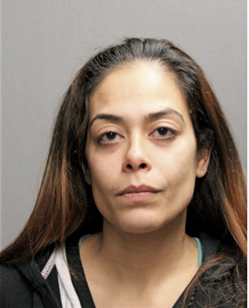 NILDA E RUIZ, Cook County, Illinois