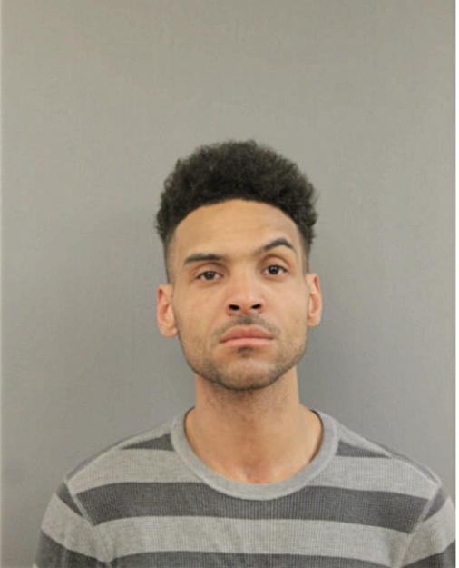 LUIS A SANTIAGO, Cook County, Illinois