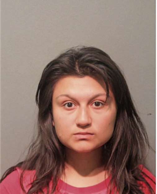 STEPHANIE H SCHMIDT, Cook County, Illinois
