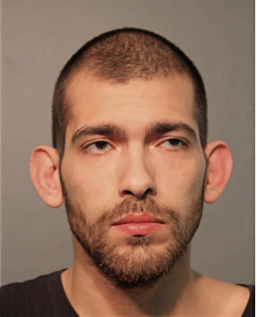 DANTE J TORRES, Cook County, Illinois
