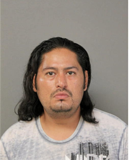 JOSE D TORRES, Cook County, Illinois