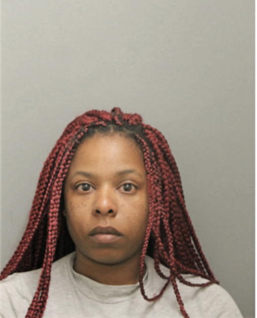 ARNISE N TURNER, Cook County, Illinois