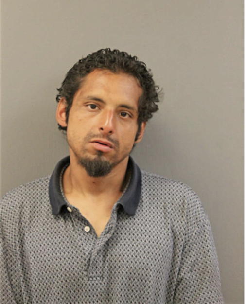 FRANCISCO VEGA, Cook County, Illinois