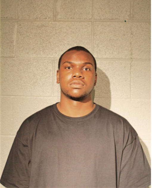 JAMES E WILLIAMS, Cook County, Illinois