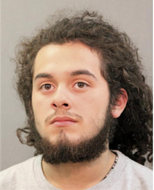 FABYAN A AHUMADA, Cook County, Illinois