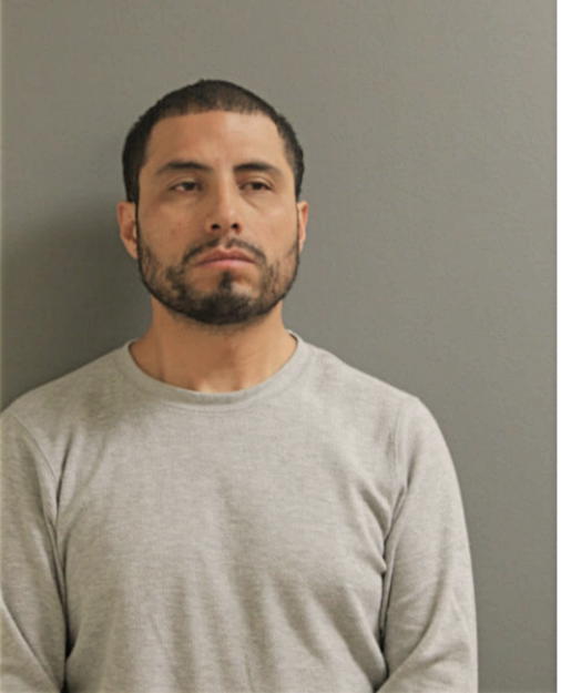 CARLOS A ALEMAN, Cook County, Illinois