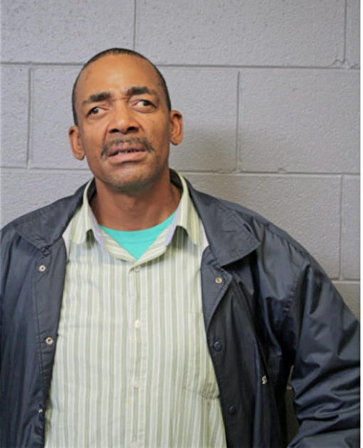 MICHAEL E AMERSON, Cook County, Illinois