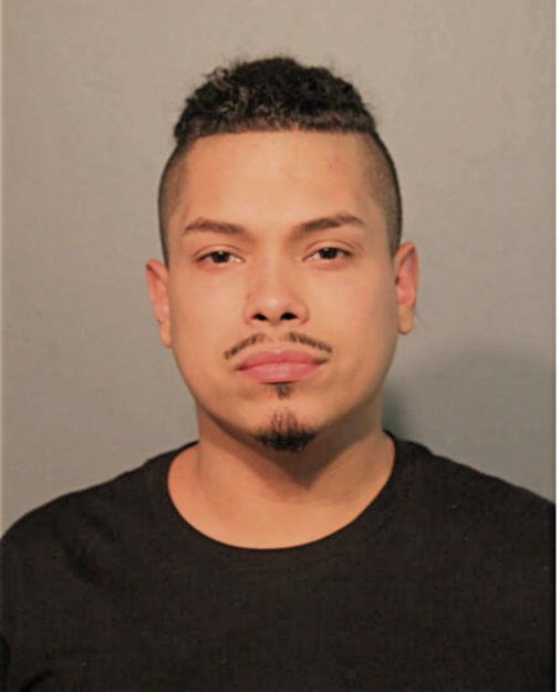 DEE A BATISTA, Cook County, Illinois