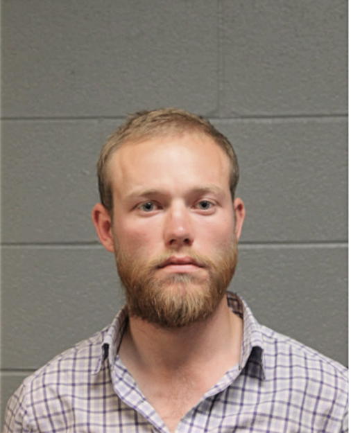ANDREW T BIRRELL, Cook County, Illinois