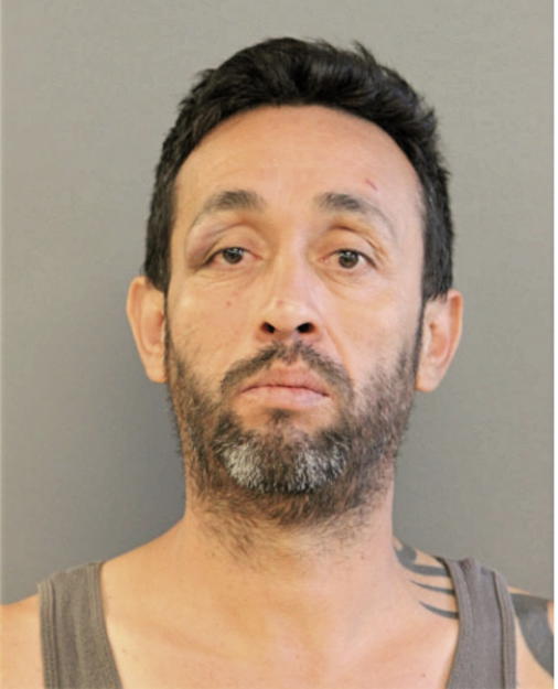 ADRIAN CEPEDA, Cook County, Illinois