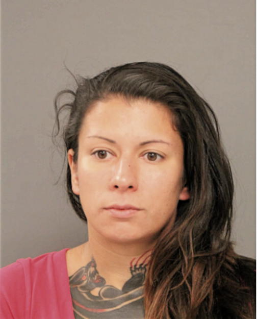 AMANDA R CHAVEZ, Cook County, Illinois