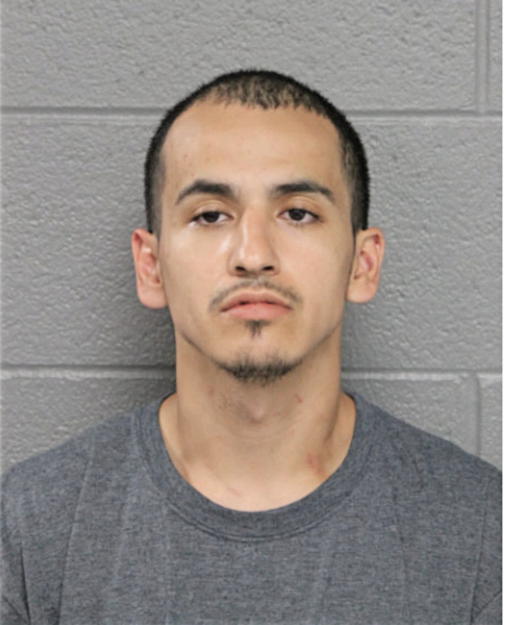 DAVID D CHAVEZ, Cook County, Illinois
