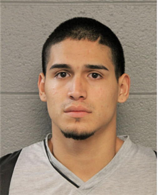 LUIS A DURAN, Cook County, Illinois
