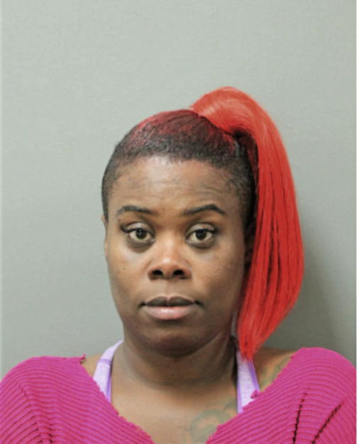 CHIQUILLA C ELLIS, Cook County, Illinois