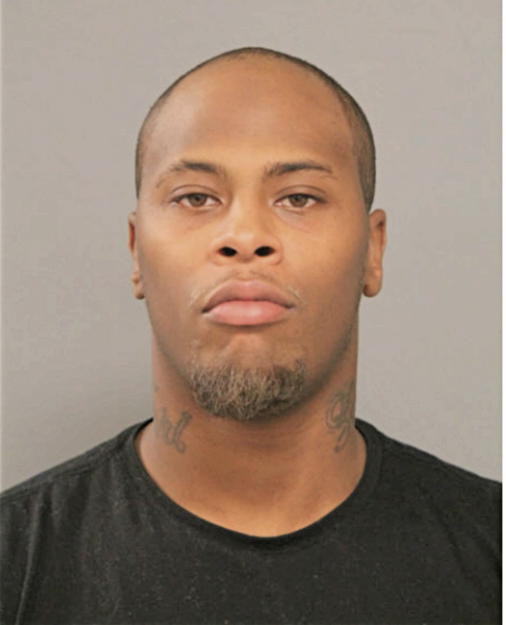 DANIEL P EZELL, Cook County, Illinois