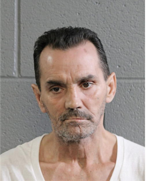 TERRENCE L FLANNERY, Cook County, Illinois