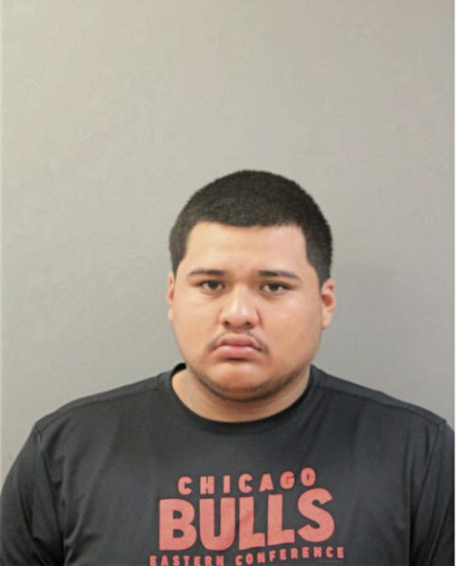 VICTOR J HERNANDEZ, Cook County, Illinois