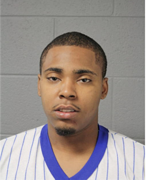 MICHAEL A HICKS, Cook County, Illinois