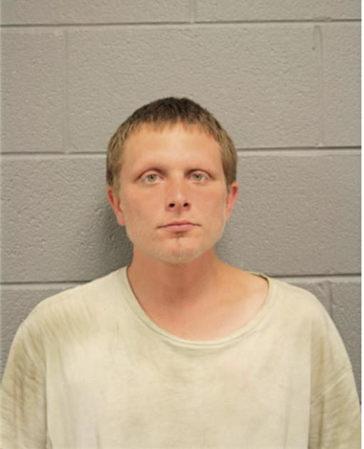 DANIEL G JOHNSON, Cook County, Illinois