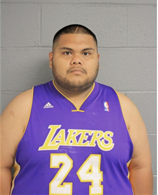 DAVID LAGUNAS, Cook County, Illinois