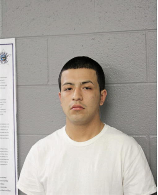 OMAR LANDEROS, Cook County, Illinois