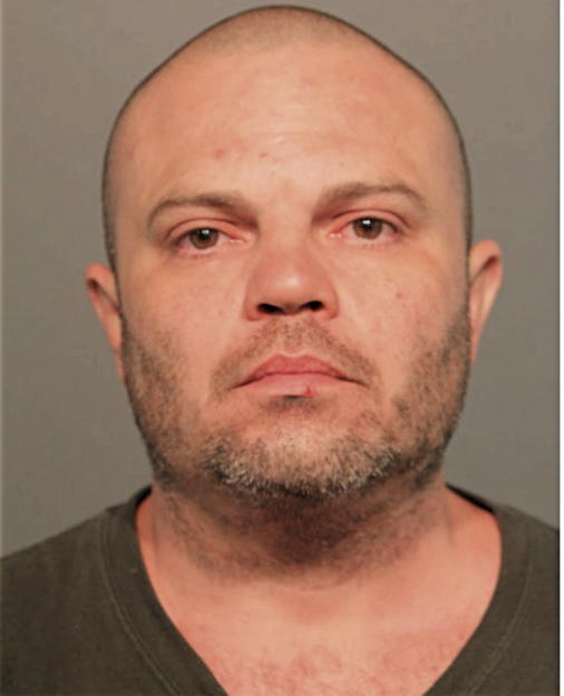 MICHAEL W MANSILLA, Cook County, Illinois