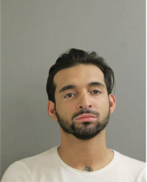 RONNIE JOSHUA MIGUEL, Cook County, Illinois