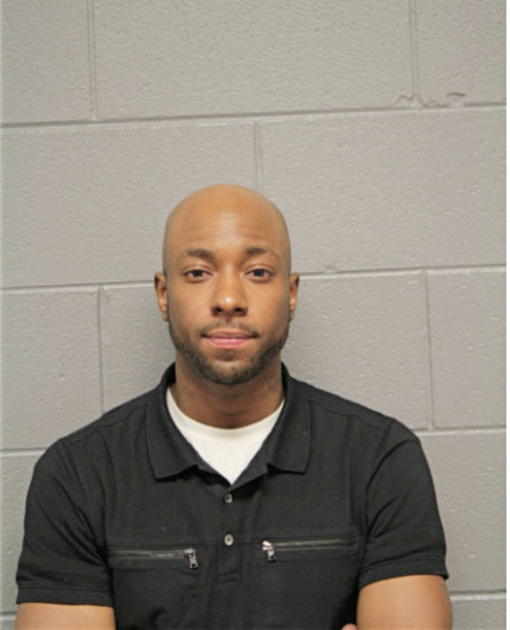 DENNIS D NEWSON, Cook County, Illinois