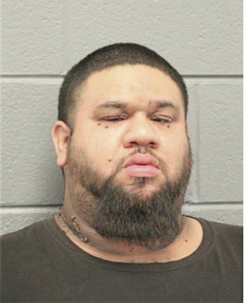 JOHNATHON O ORTIZ, Cook County, Illinois