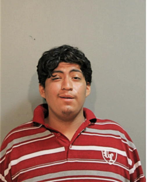 JULIO C PATINO SANCHEZ, Cook County, Illinois