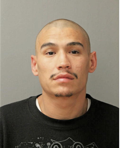 ANGEL L PEREZ, Cook County, Illinois