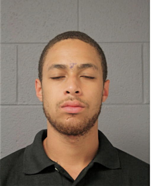 STERLING L POINDEXTER, Cook County, Illinois