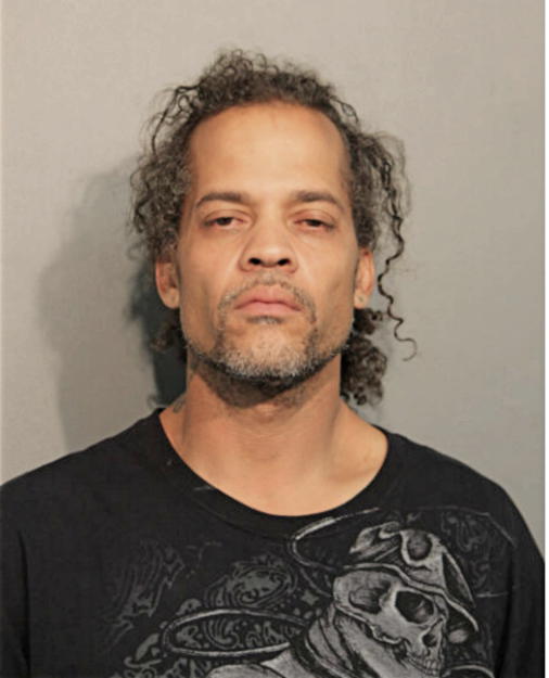 CHRISTOPHER L SKAGGS, Cook County, Illinois