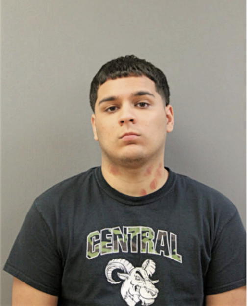 JUAN M SOTELO, Cook County, Illinois