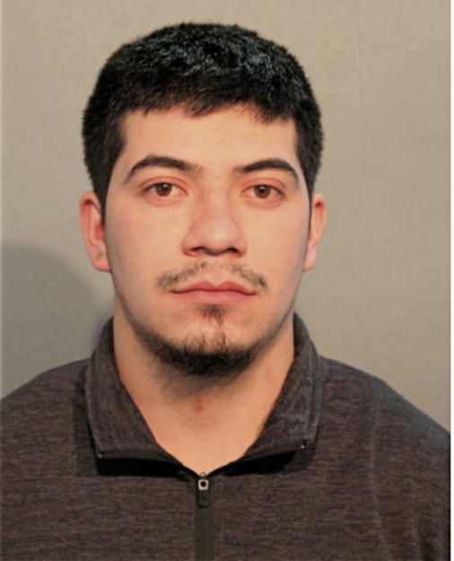 GONZALO SOTO, Cook County, Illinois
