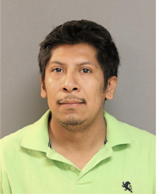ALEJANDRO TEODOES, Cook County, Illinois