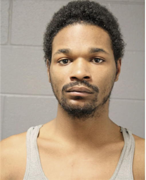 JAMES J WASHINGTON, Cook County, Illinois