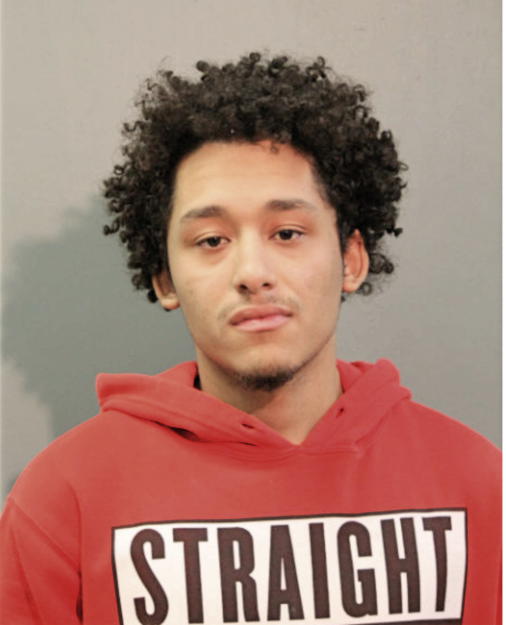 ARMANI D WEBB, Cook County, Illinois