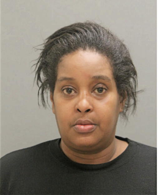 TAMARA L WILLIAMS, Cook County, Illinois