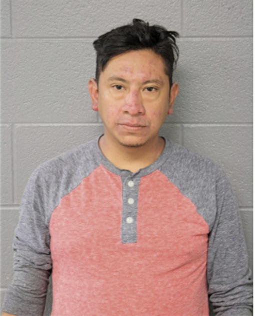 DAVID A MARTINEZ, Cook County, Illinois