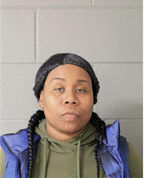 CARMEN T ANDERSON, Cook County, Illinois