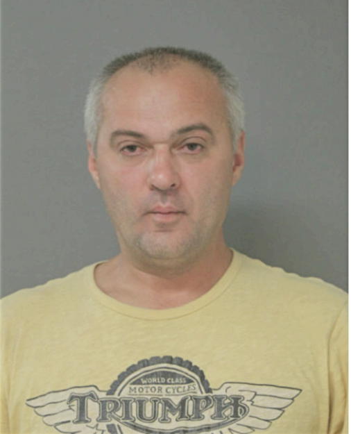 RAMUNAS BLAZYS, Cook County, Illinois