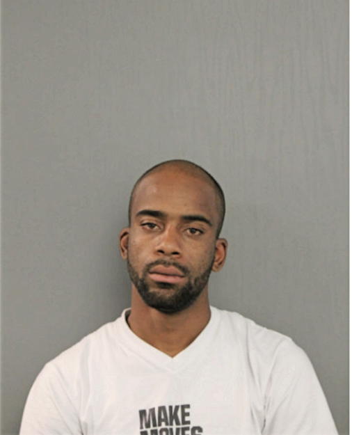 ANTHONY J BOYLE, Cook County, Illinois