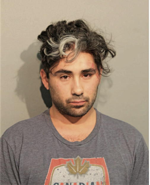 LUCAS V COUTO, Cook County, Illinois