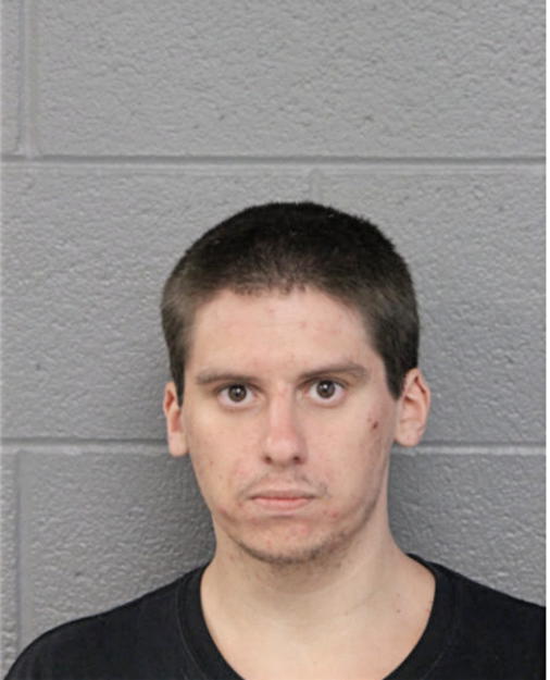SETH R FERGUSON, Cook County, Illinois